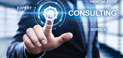 Software consultant